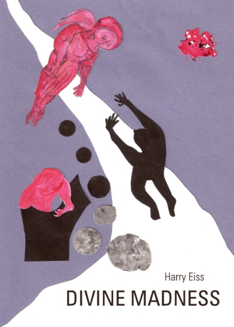Cover image for book Divine Madness