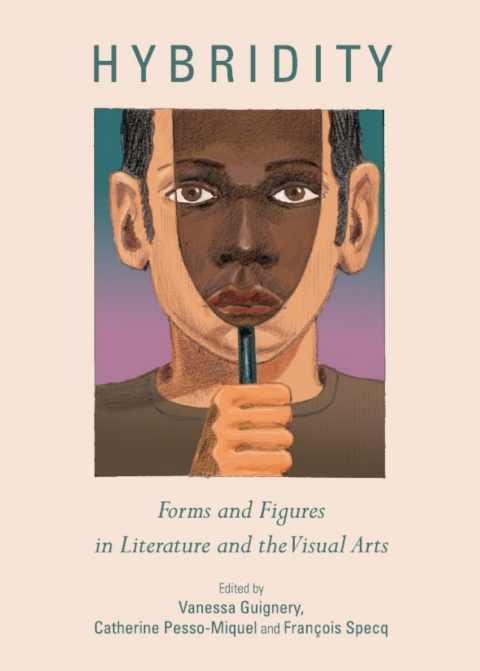 Cover image for book Hybridity