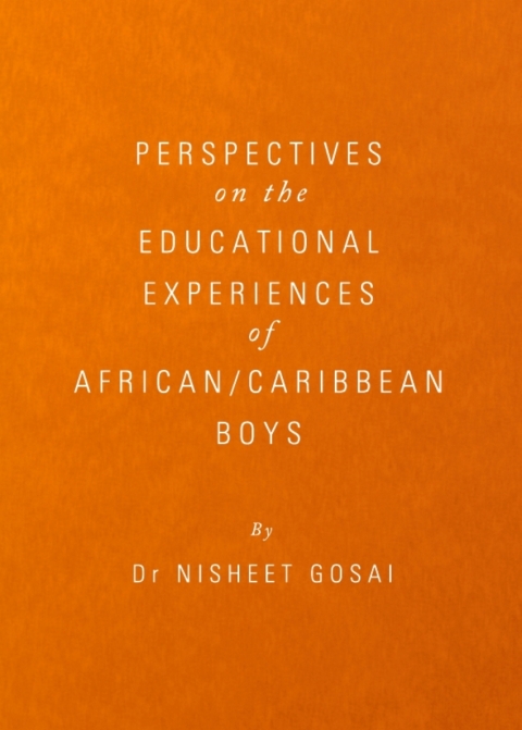 Cover image for book Perspectives on the Educational Experiences of African/Caribbean Boys