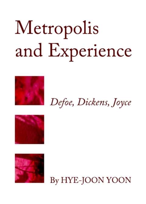 Cover image for book Metropolis and Experience