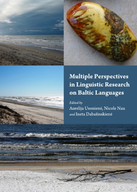 Cover image for book Multiple Perspectives in Linguistic Research on Baltic Languages