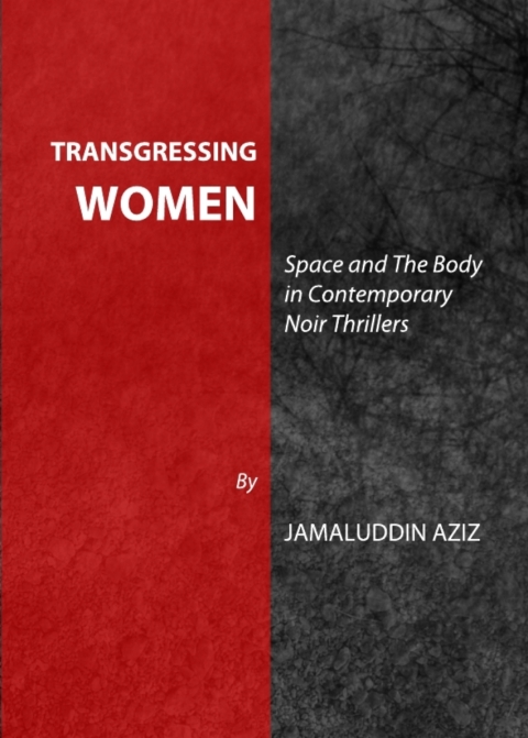 Cover image for book Transgressing Women