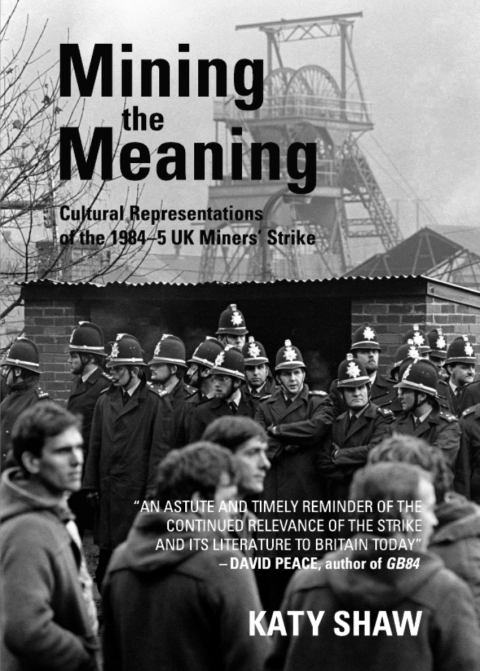 Cover image for book Mining the Meaning