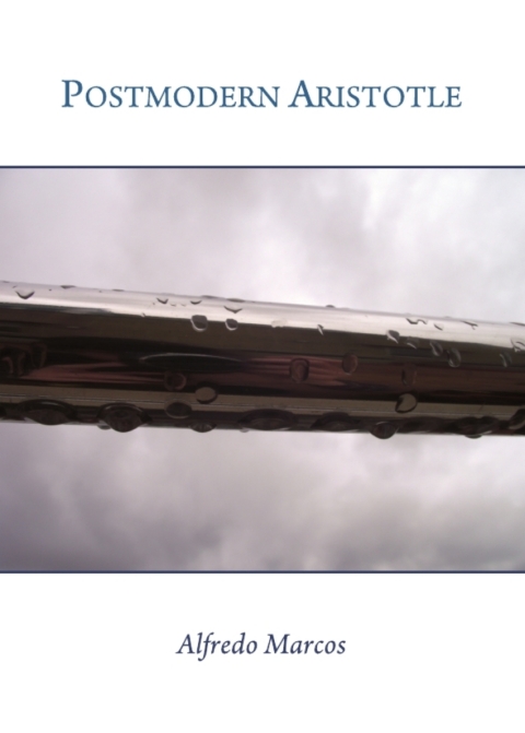 Cover image for book Postmodern Aristotle
