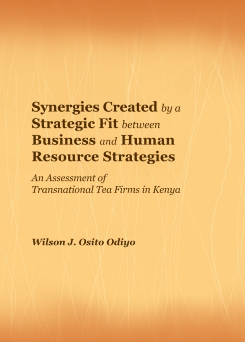 Cover image for book Synergies Created by a Strategic Fit between Business and Human Resource Strategies