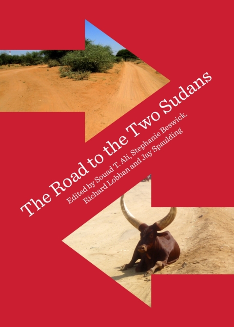 Cover image for book The Road to the Two Sudans