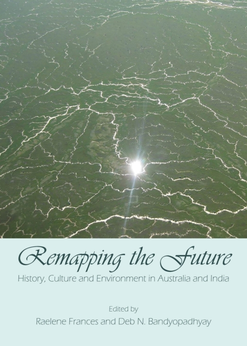 Cover image for book Remapping the Future