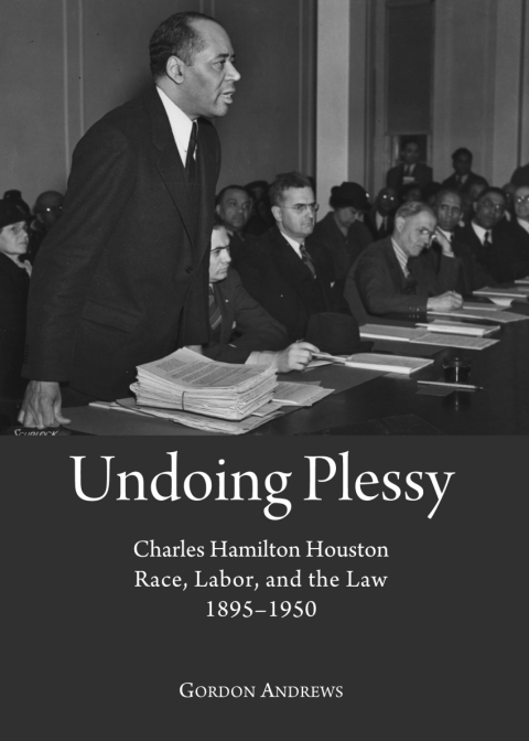 Cover image for book Undoing Plessy