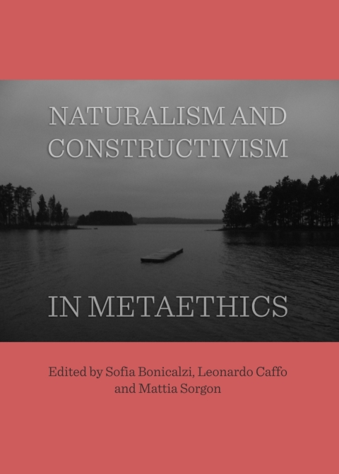 Cover image for book Naturalism and Constructivism in Metaethics