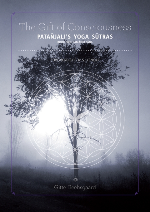 Cover image for book The Gift of Consciousness