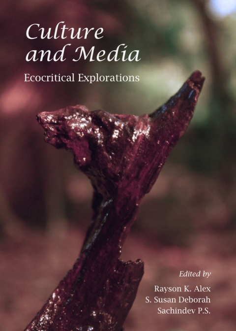 Cover image for book Culture and Media