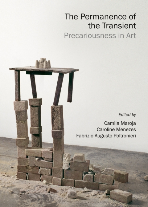 Cover image for book The Permanence of the Transient