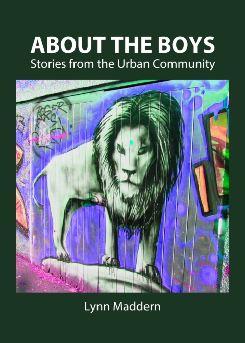 Cover image for book About The Boys