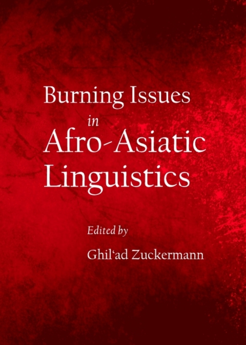 Cover image for book Burning Issues in Afro-Asiatic Linguistics
