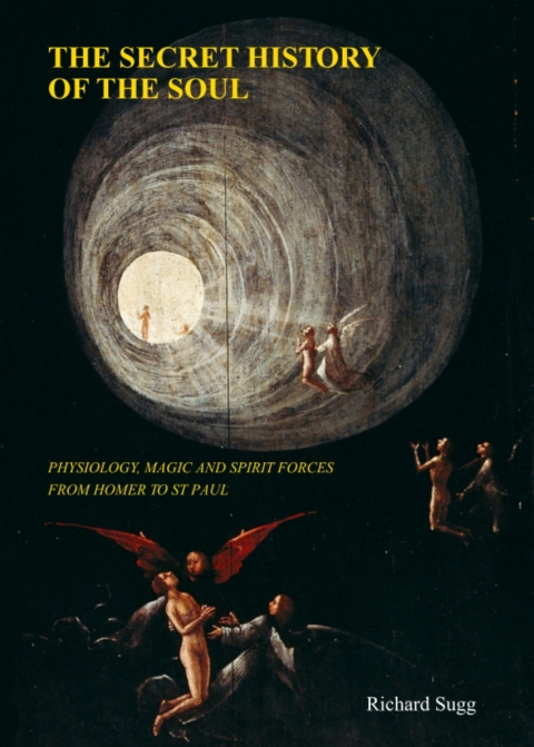 Cover image for book The Secret History of the Soul