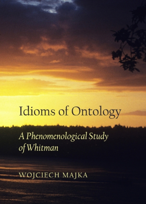Cover image for book Idioms of Ontology