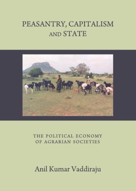 Cover image for book Peasantry, Capitalism and State