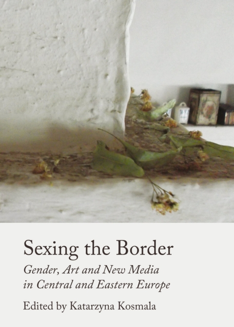 Cover image for book Sexing the Border