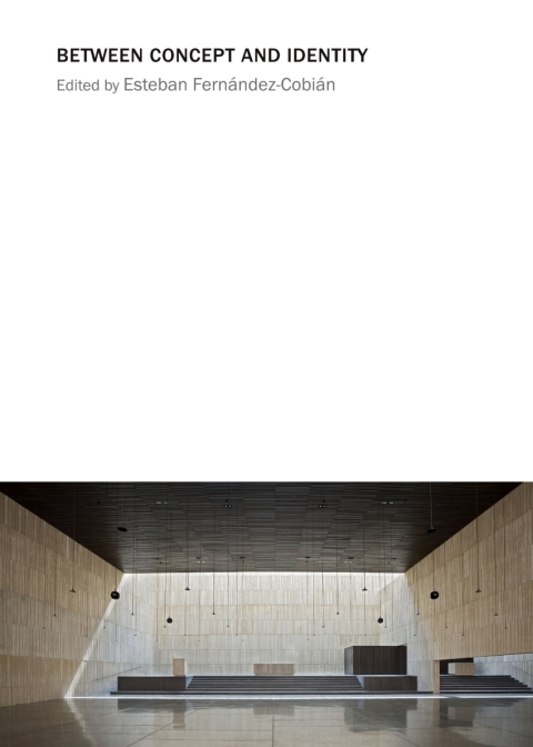 Cover image for book Between Concept and Identity