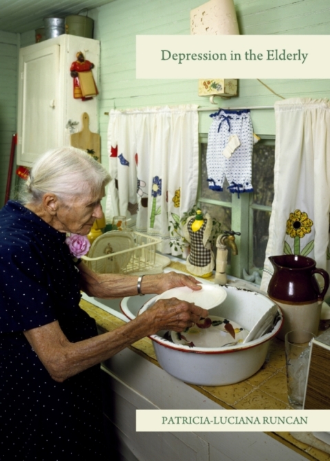 Cover image for book Depression in the Elderly