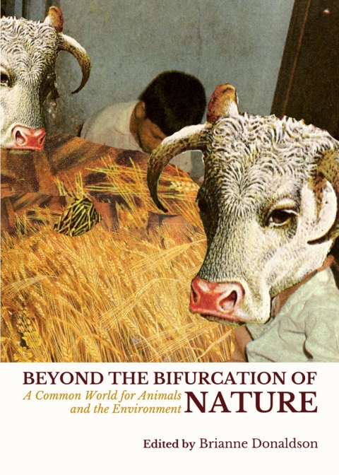 Cover image for book Beyond the Bifurcation of Nature