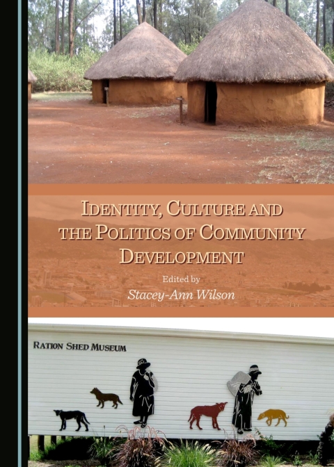 Cover image for book Identity, Culture and the Politics of Community Development