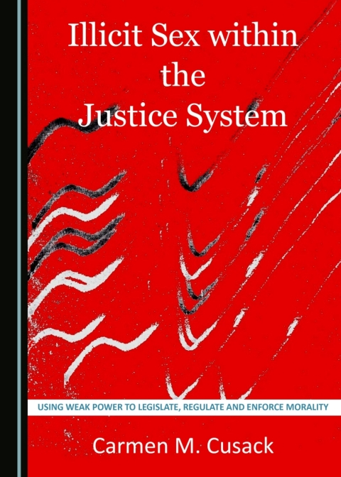Cover image for book Illicit Sex within the Justice System