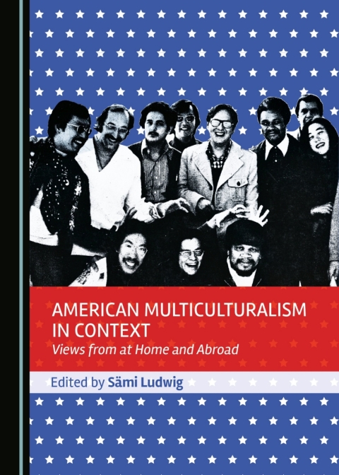 Cover image for book American Multiculturalism in Context