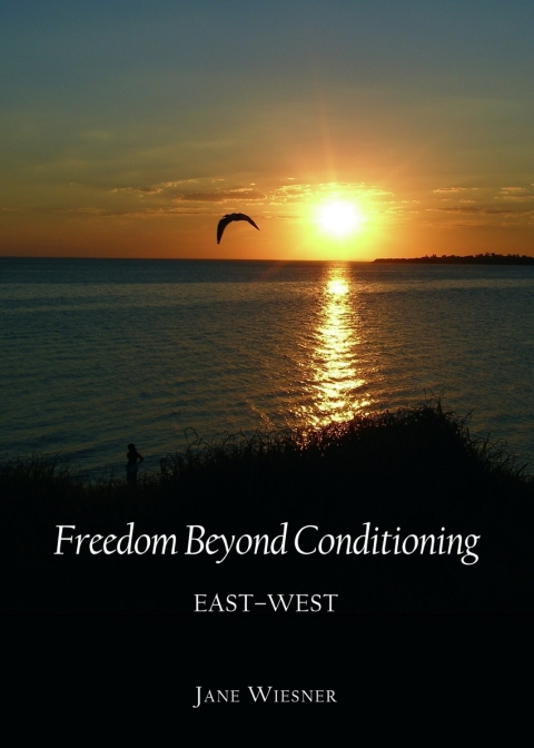 Cover image for book Freedom Beyond Conditioning