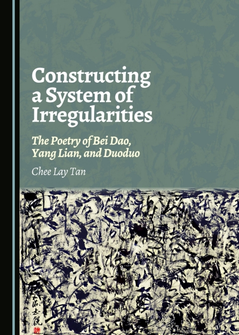 Cover image for book Constructing a System of Irregularities