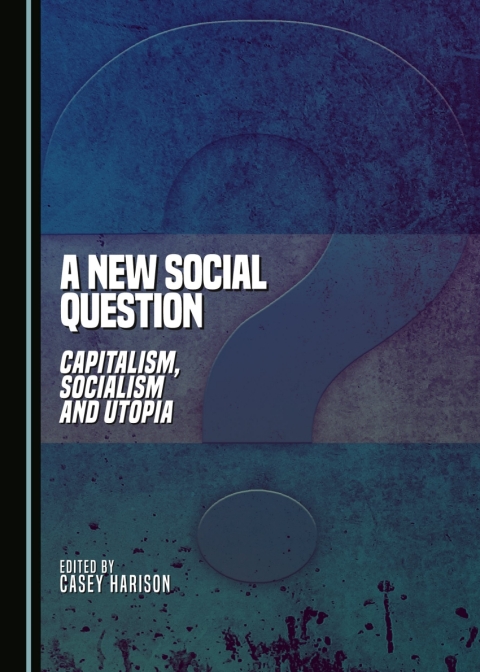 Cover image for book A New Social Question