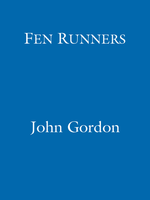 Cover image for book Fen Runners