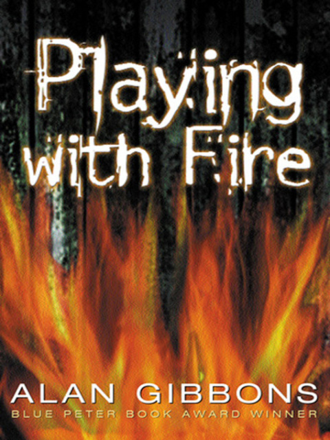 Cover image for book Playing With Fire