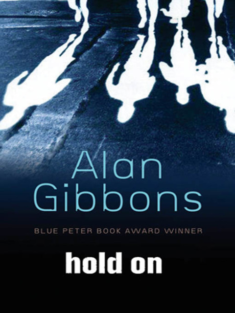 Cover image for book Hold On
