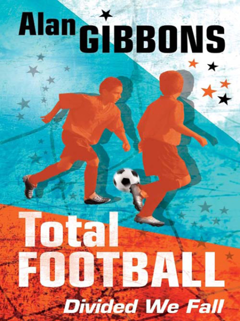 Cover image for book Divided We Fall