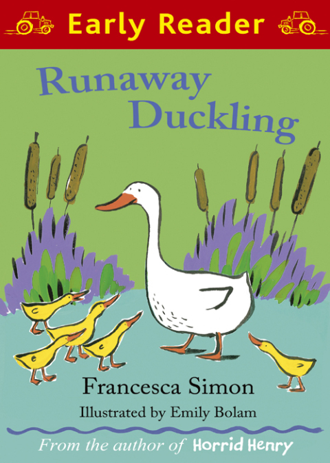 Cover image for book Runaway Duckling