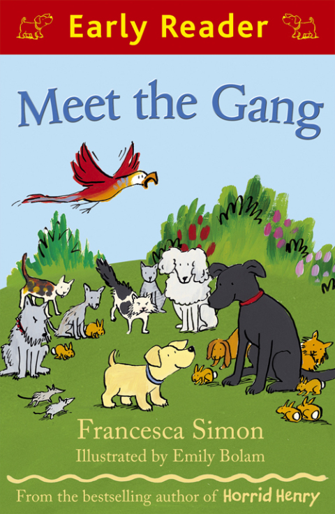 Cover image for book Meet the Gang