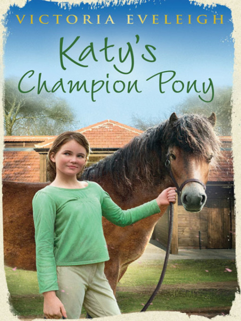 Cover image for book Katy's Champion Pony