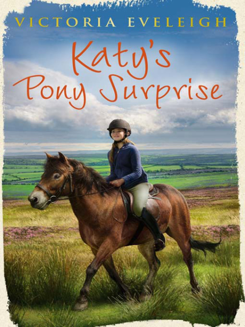 Cover image for book Katy's Pony Surprise