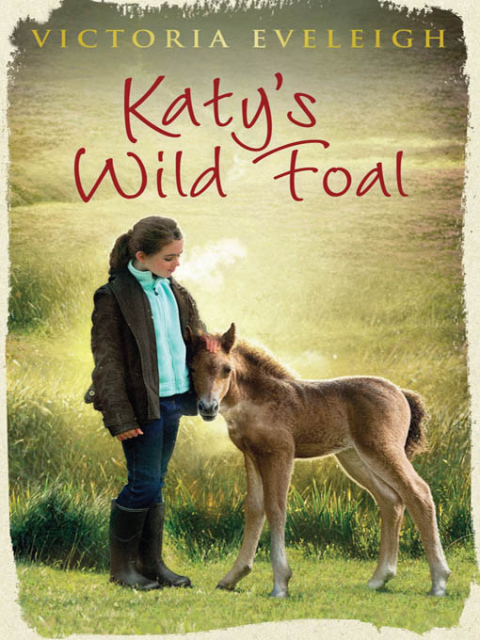 Cover image for book Katy's Wild Foal