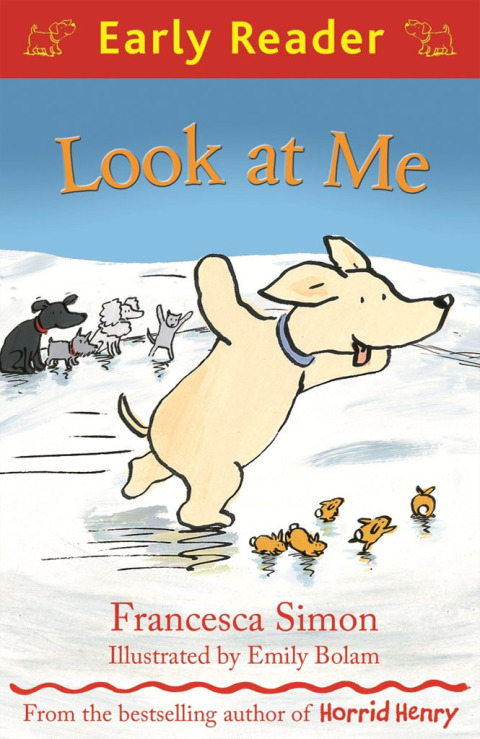 Cover image for book Look at Me