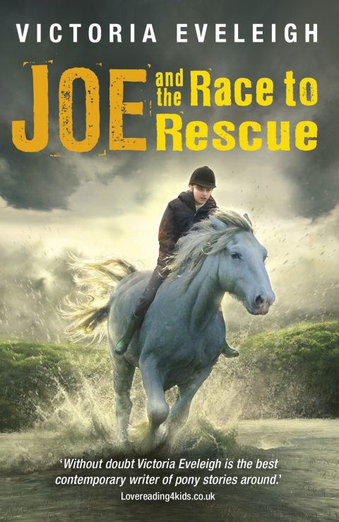 Cover image for book Joe and the Race to Rescue
