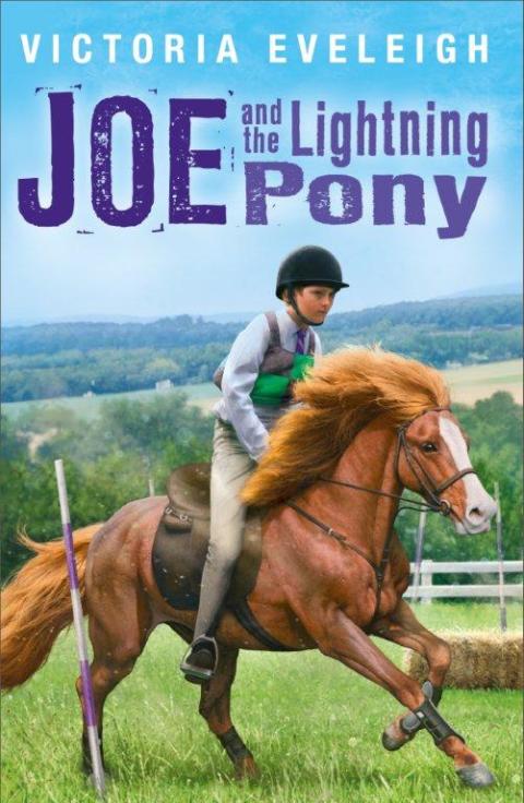 Cover image for book Joe and the Lightning Pony