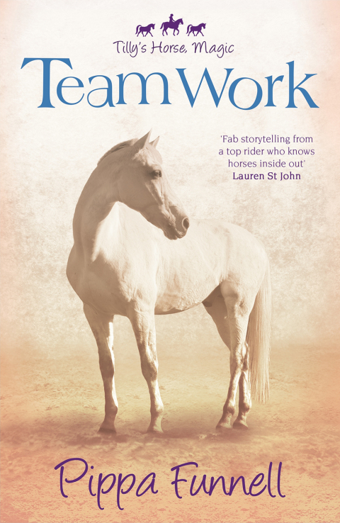 Cover image for book Team Work