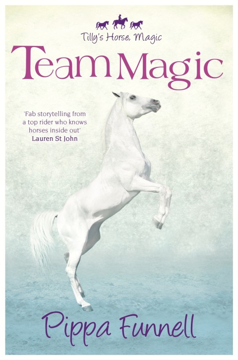Cover image for book Team Magic