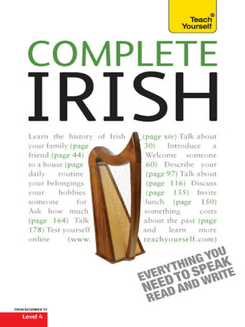Cover image for book Complete Irish Beginner to Intermediate Book and Audio Course