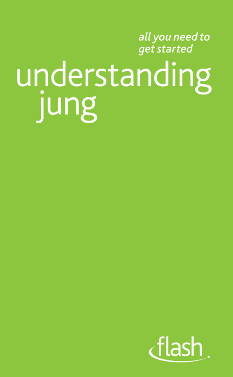 Cover image for book Understanding Jung: Flash