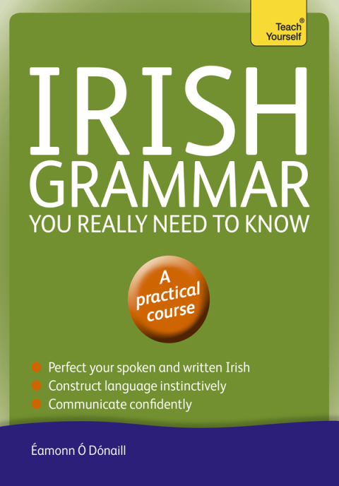 Cover image for book Irish Grammar You Really Need to Know: Teach Yourself