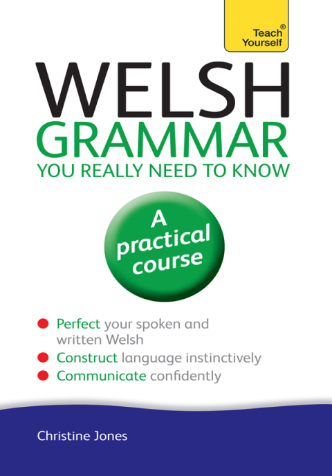 Cover image for book Welsh Grammar You Really Need to Know: Teach Yourself