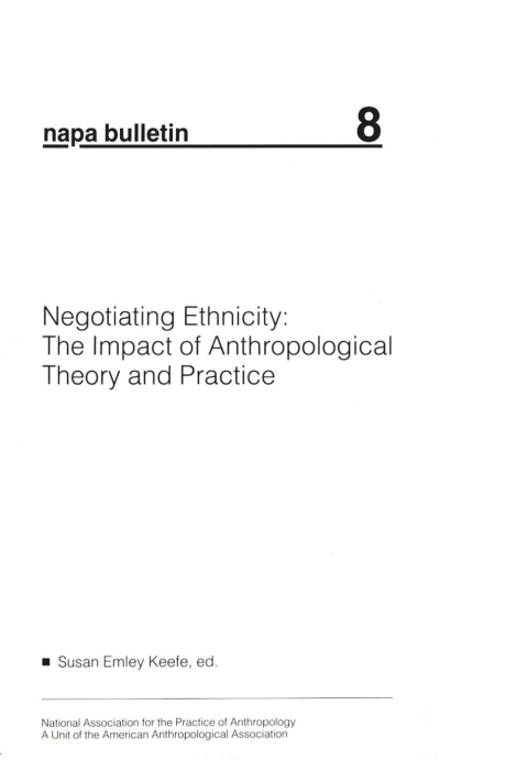 Cover image for book Negotiating Ethnicity